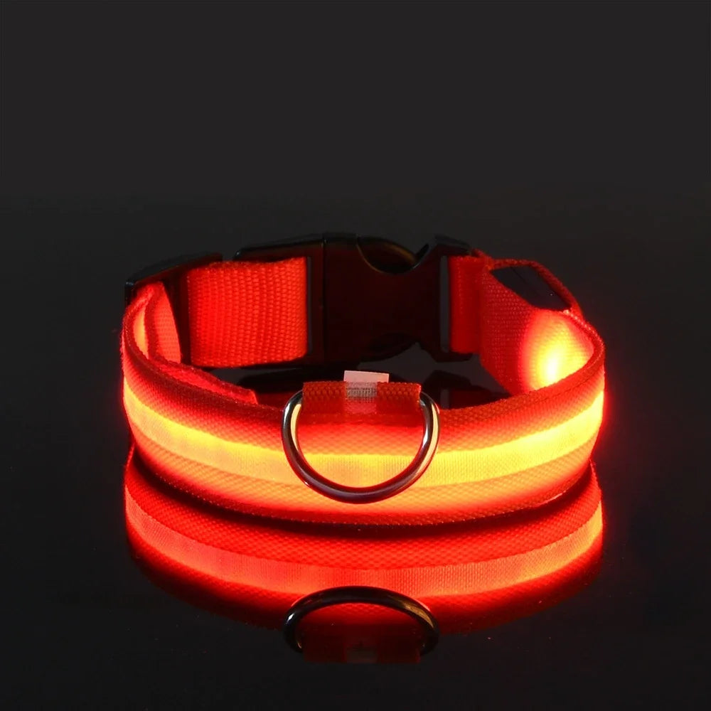 Led Pet Colars