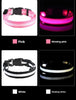 Led Pet Colars