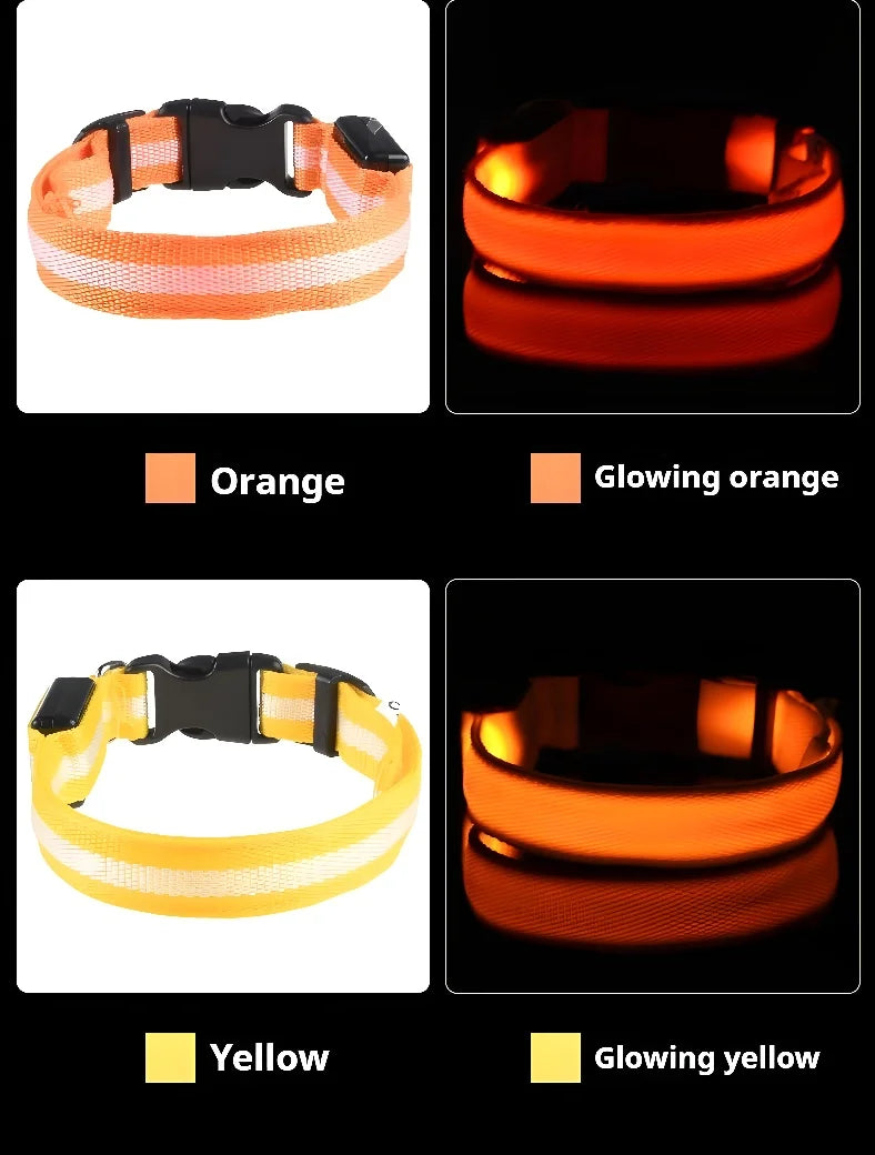 Led Pet Colars