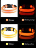 Led Pet Colars