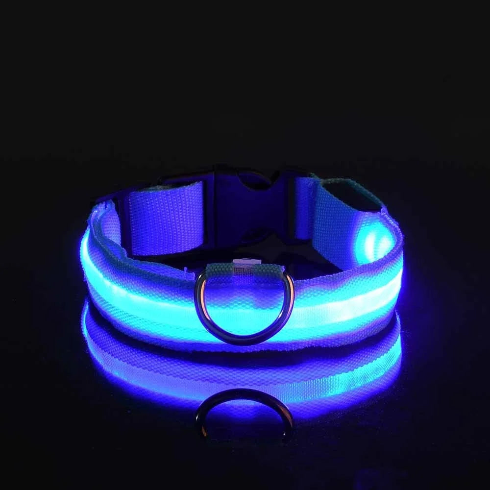 Led Pet Colars