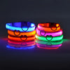 Led Pet Colars