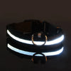 Led Pet Colars