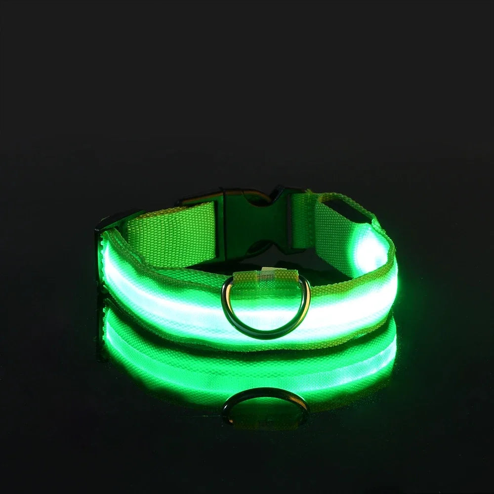 Led Pet Colars