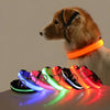 Led Pet Colars