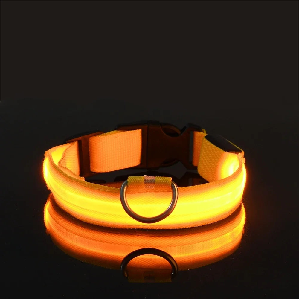 Led Pet Colars